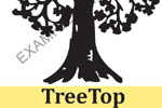 Logo Design Example 9